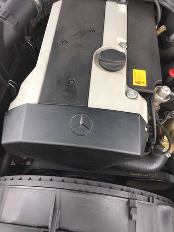 Bild 1 M 104 Ölverlust am Nockenwellenversteller