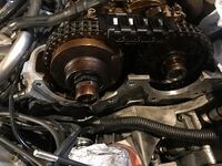 Blick auf die Nockenwellen