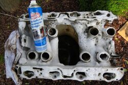 Da wird der Brutofen gereinigt…